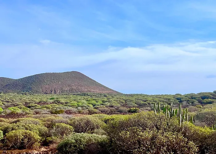 Beautiful 100m In Mar Palm-mar